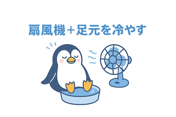 扇風機　足を冷やす　熱帯夜　
