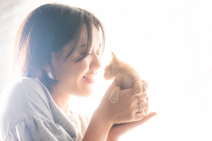 子猫のための暑さ対策　うちの子かわいい